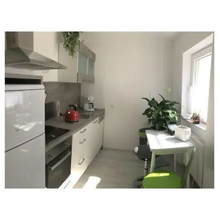 At The Edge Of The Forest *