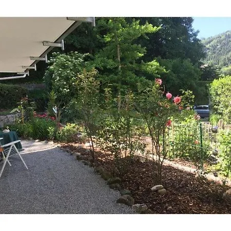 At The Edge Of The Forest *