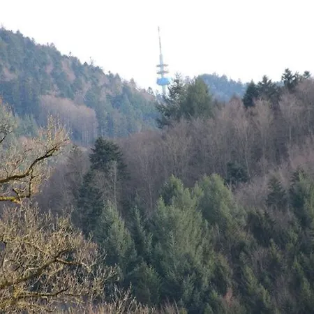 At The Edge Of The Forest バーデンヴァイラー