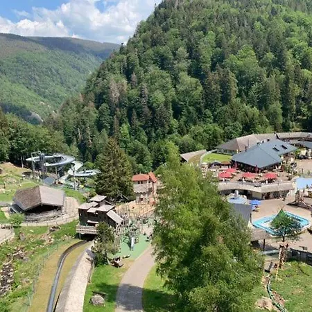 At The Edge Of The Forest * バーデンヴァイラー