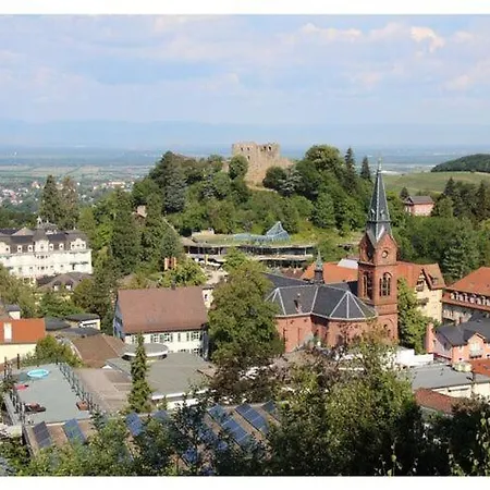 At The Edge Of The Forest