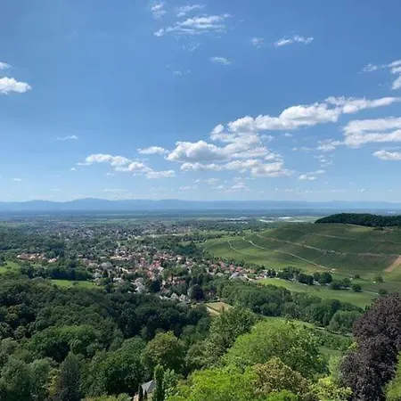 At The Edge Of The Forest アパート