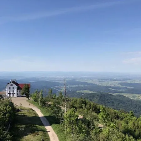 アパート At The Edge Of The Forest
