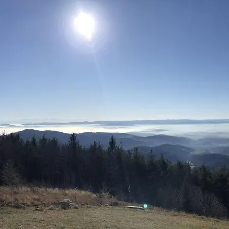 At The Edge Of The Forest アパート バーデンヴァイラー