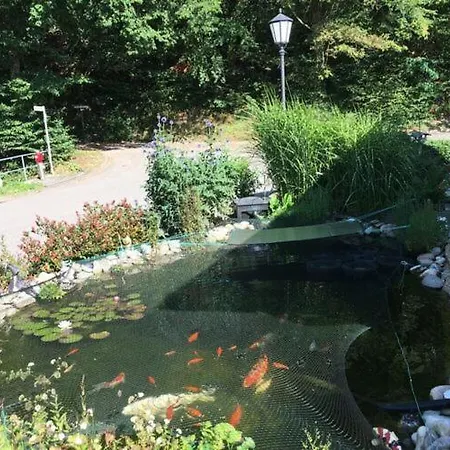 At The Edge Of The Forest バーデンヴァイラー